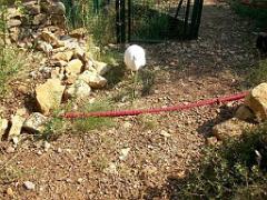 183 D21 SANARY SUR MER 1_000056